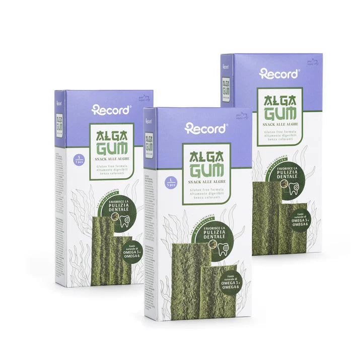 Record - Alga Gum