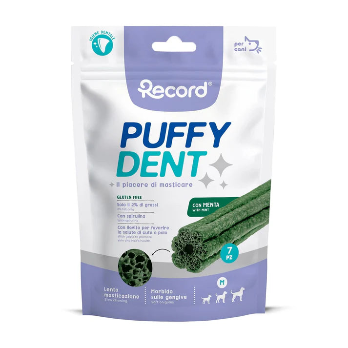 Record - Puffy Dent