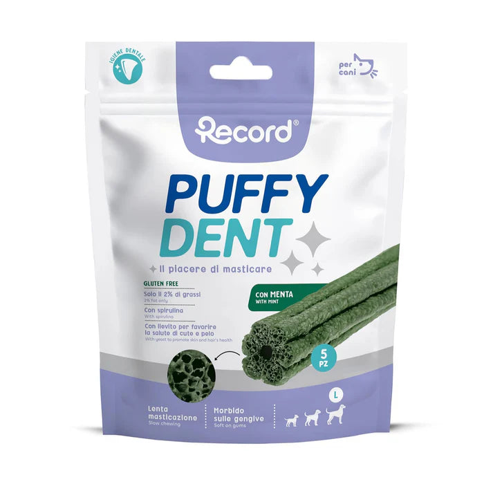 Record - Puffy Dent