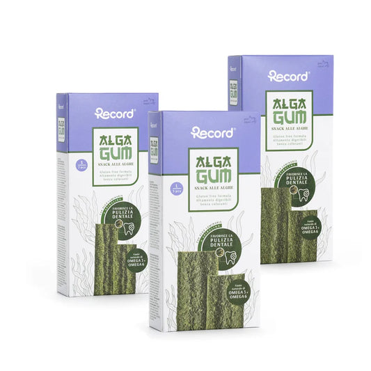 Record - Alga Gum
