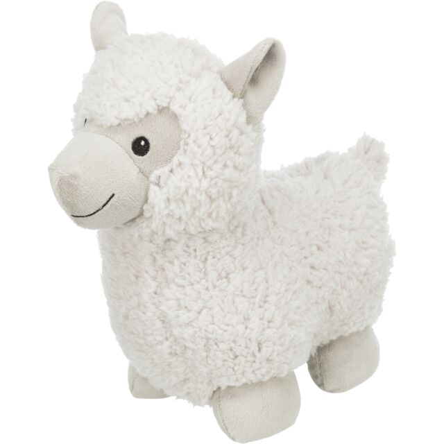 Alpaca