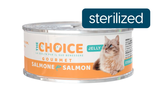 the  choice gourmet cat jelly 85 g