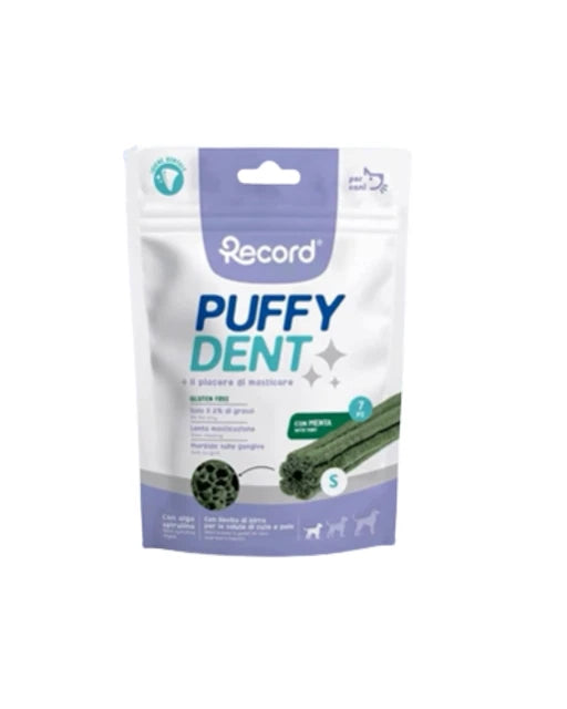 Record - Puffy Dent